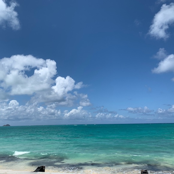 Meet your Posher, Shayla - Picture 13 of 16